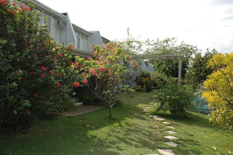The Gardens Villa คิงส์ตัน ภายนอก รูปภาพ